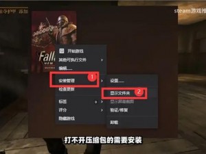 《辐射：新维加斯》重生安装攻略详解：步骤与注意事项全解析