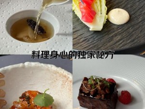 玛娜希斯回响：鲜汤煲烹饪指南与配方大全，独家呈现美味佳肴制作细节