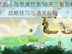 愤怒的小鸟思黛拉第58关三星攻略全解析：战略技巧与通关秘籍