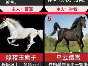 三国志10名马详解：获取途径大揭秘之赤兔的卢等传奇马匹解析