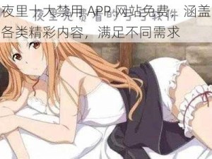 夜里十大禁用 APP 网站免费，涵盖各类精彩内容，满足不同需求