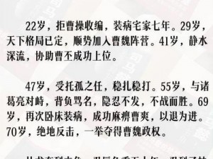 关于司马懿的打法要点解析：智谋与忍耐的巧妙运用