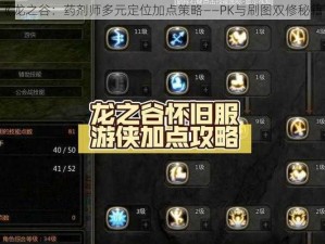 《龙之谷：药剂师多元定位加点策略——PK与刷图双修秘籍》