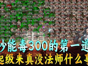 《深入解析仿盛大传奇游戏：道士毒伤害叠加计算的奥秘》