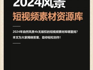 淫虎网站——一款满足你所有需求的视频播放软件