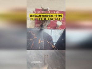 国精产品无人区一码二码三M-国精产品无人区一码二码三 M：这是什么神秘的编码系统？