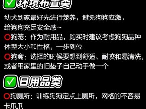 皮卡堂宠物打工攻略：提升效率的技巧与方法揭秘