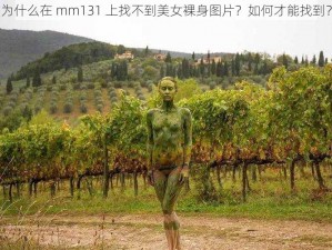 为什么在 mm131 上找不到美女裸身图片？如何才能找到？