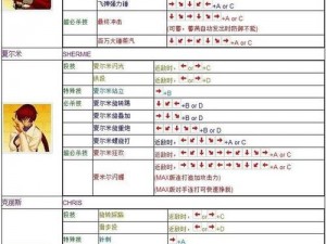 《拳皇13》游戏手柄设置详解：一站式解决方案助你轻松上手操作体验提升攻略