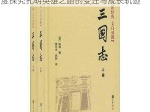 三国志孔明传属性大解析与修改探讨：深度探究孔明英雄之路的变迁与成长轨迹