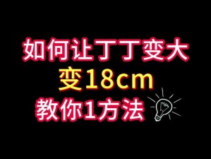 18CMIC 官方直接打开：为何要这样做？怎样实现？有何风险？