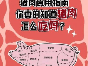 肥肉合集【这些都是什么鬼东西？为什么会出现这些奇怪的标点符号？】