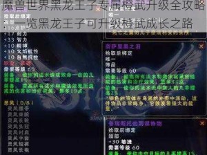 魔兽世界黑龙王子专属橙武升级全攻略：一览黑龙王子可升级橙武成长之路