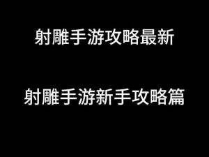 射雕武器如何选择：专业推荐与实战分析，打造精准射击利器