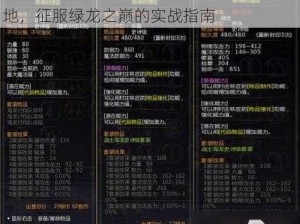 龙之谷绿龙巢穴攻略全解析：探索神秘之地，征服绿龙之巅的实战指南