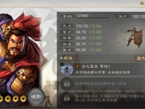 三国志战棋版典韦战法全方位解读与搭配推荐攻略：实战策略揭秘