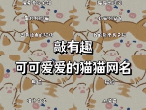 猫咪 MV 最新地域网名怎么改？如何找到适合的地域网名？