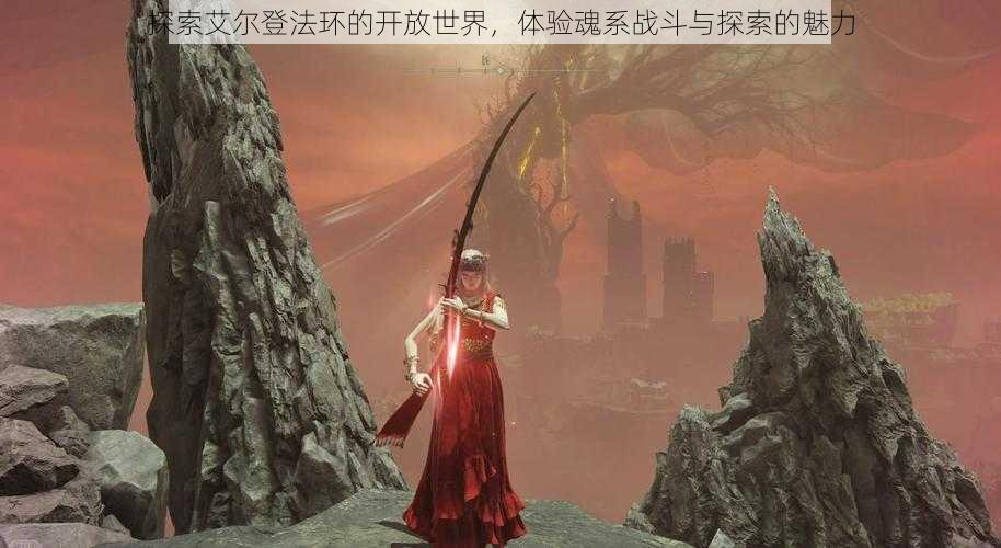 探索艾尔登法环的开放世界,体验魂系战斗与探索的魅力