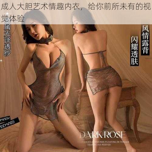成人大胆艺术情趣内衣,给你前所未有的视觉体验