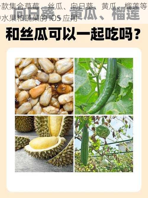 一款集合草莓、丝瓜、向日葵、黄瓜、榴莲等多种水果和蔬菜的 IOS 应用