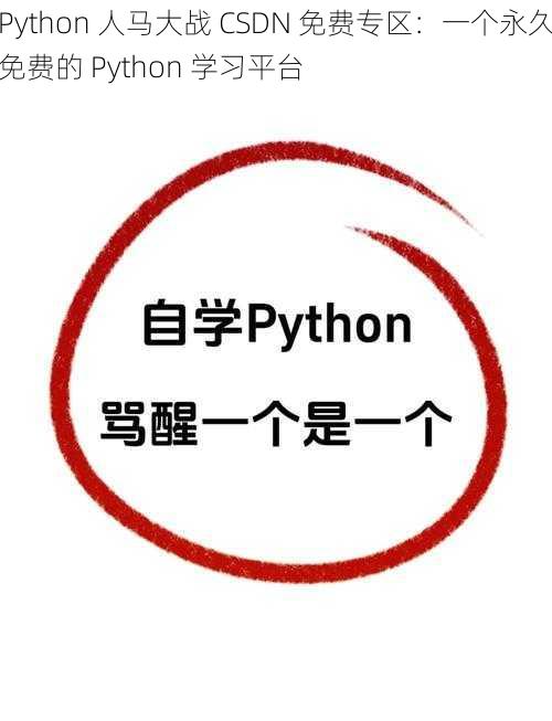 Python 人马大战 CSDN 免费专区：一个永久免费的 Python 学习平台