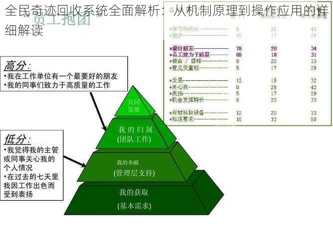 全民奇迹回收系统全面解析：从机制原理到操作应用的详细解读