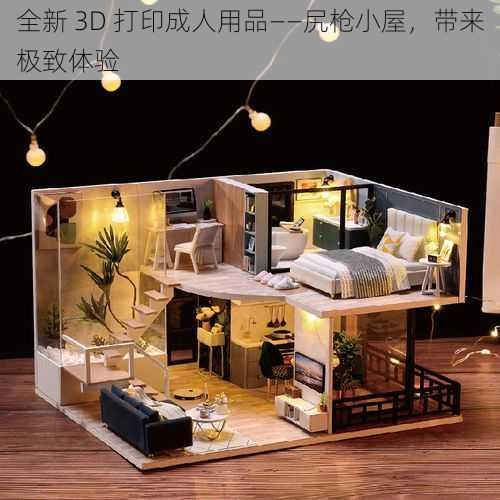 全新 3D 打印成人用品——尻枪小屋，带来极致体验