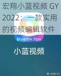 宏翔小蓝视频 GY2022：一款实用的视频编辑软件