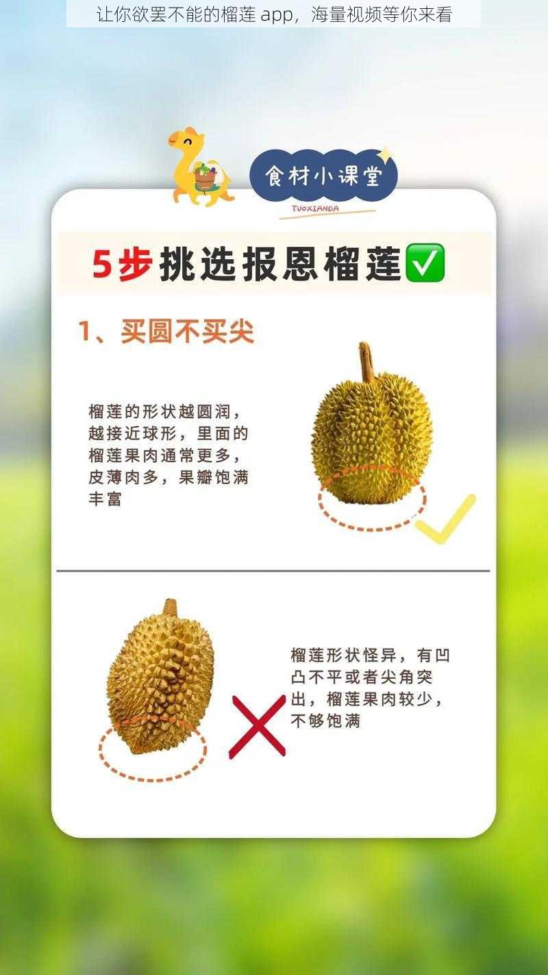 让你欲罢不能的榴莲 app，海量视频等你来看