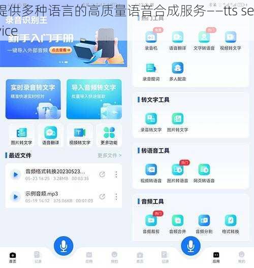 提供多种语言的高质量语音合成服务——tts service