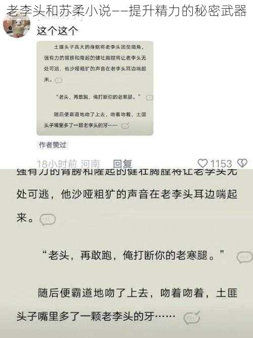 老李头和苏柔小说——提升精力的秘密武器