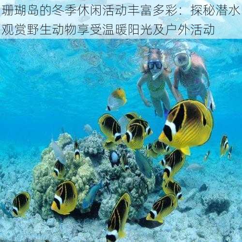 珊瑚岛的冬季休闲活动丰富多彩：探秘潜水观赏野生动物享受温暖阳光及户外活动