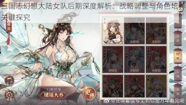 三国志幻想大陆女队后期深度解析：战略调整与角色培养关键探究