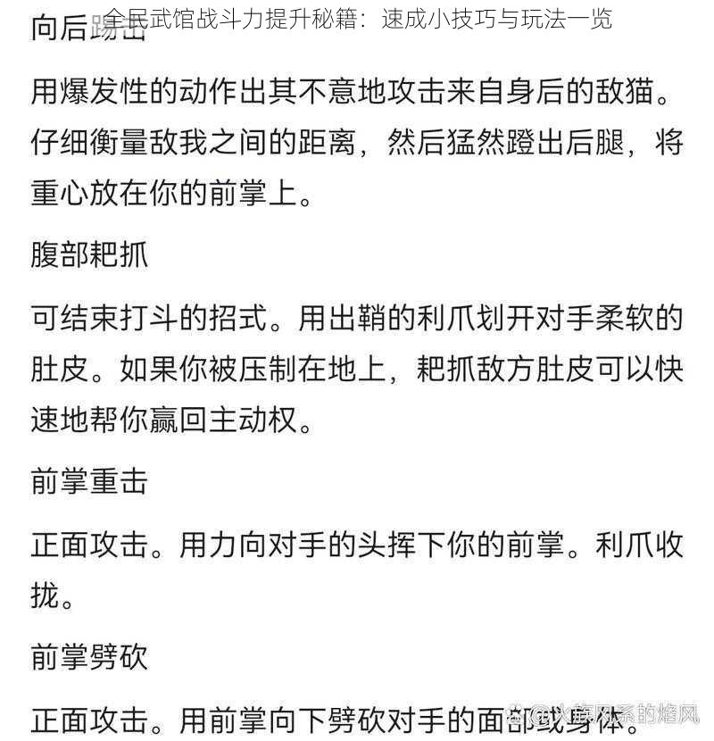 全民武馆战斗力提升秘籍：速成小技巧与玩法一览