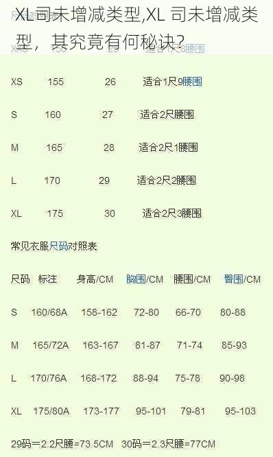 XL司未增减类型,XL 司未增减类型，其究竟有何秘诀？