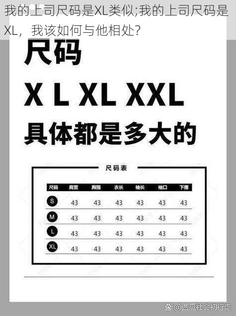 我的上司尺码是XL类似;我的上司尺码是 XL，我该如何与他相处？