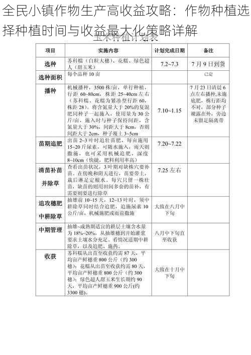 全民小镇作物生产高收益攻略：作物种植选择种植时间与收益最大化策略详解