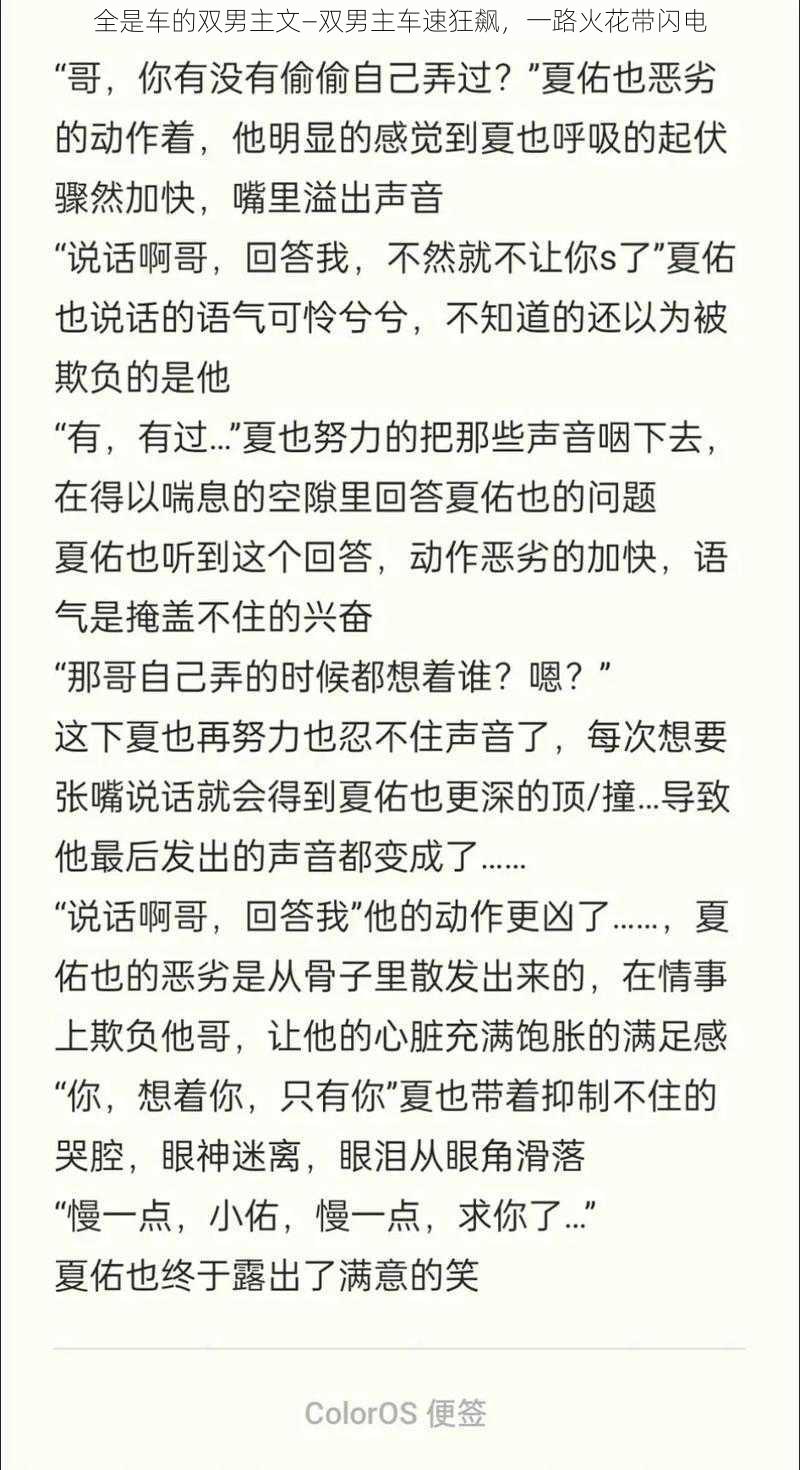 全是车的双男主文—双男主车速狂飙，一路火花带闪电