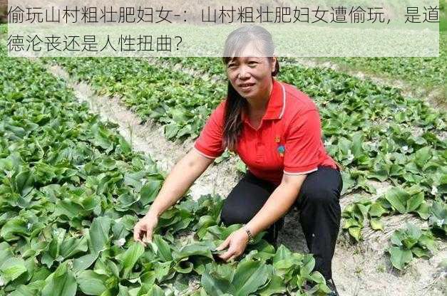 偷玩山村粗壮肥妇女-：山村粗壮肥妇女遭偷玩，是道德沦丧还是人性扭曲？