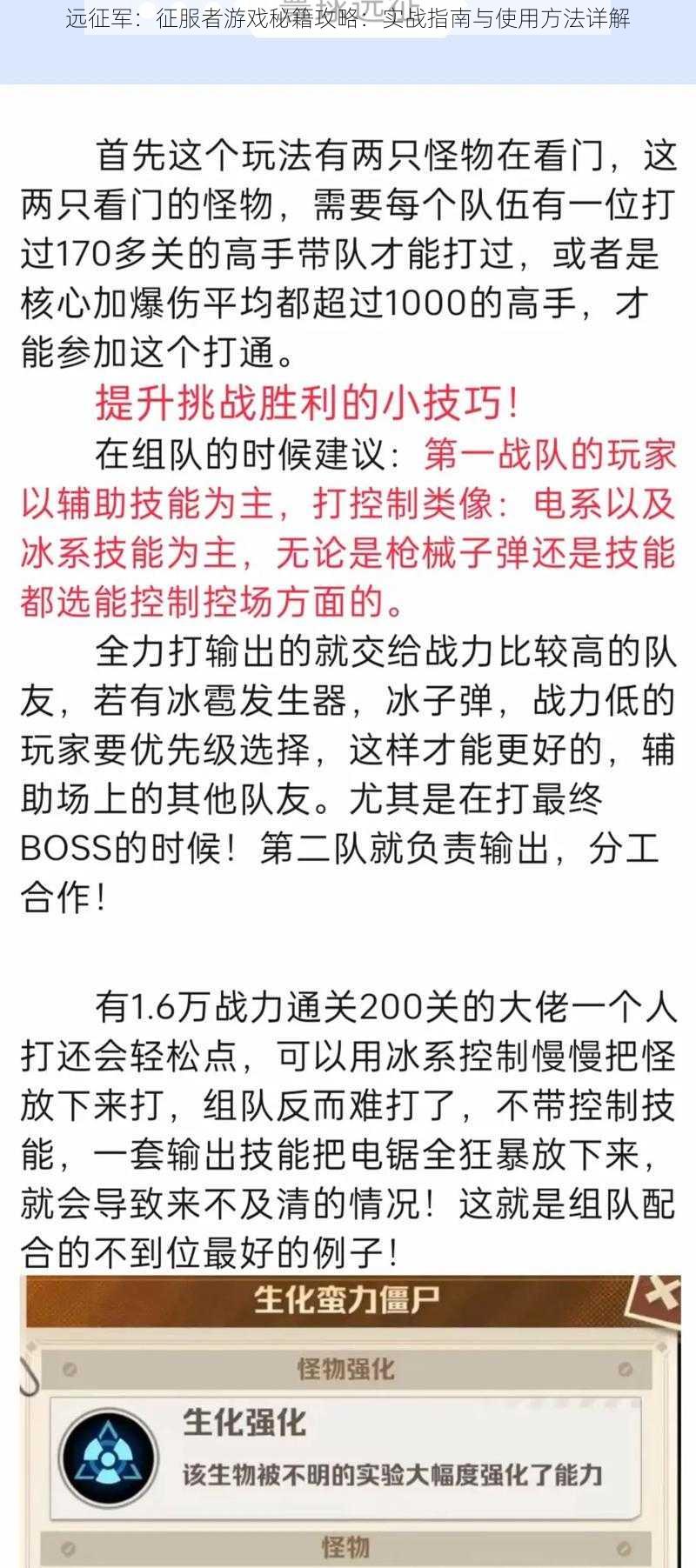 远征军：征服者游戏秘籍攻略：实战指南与使用方法详解