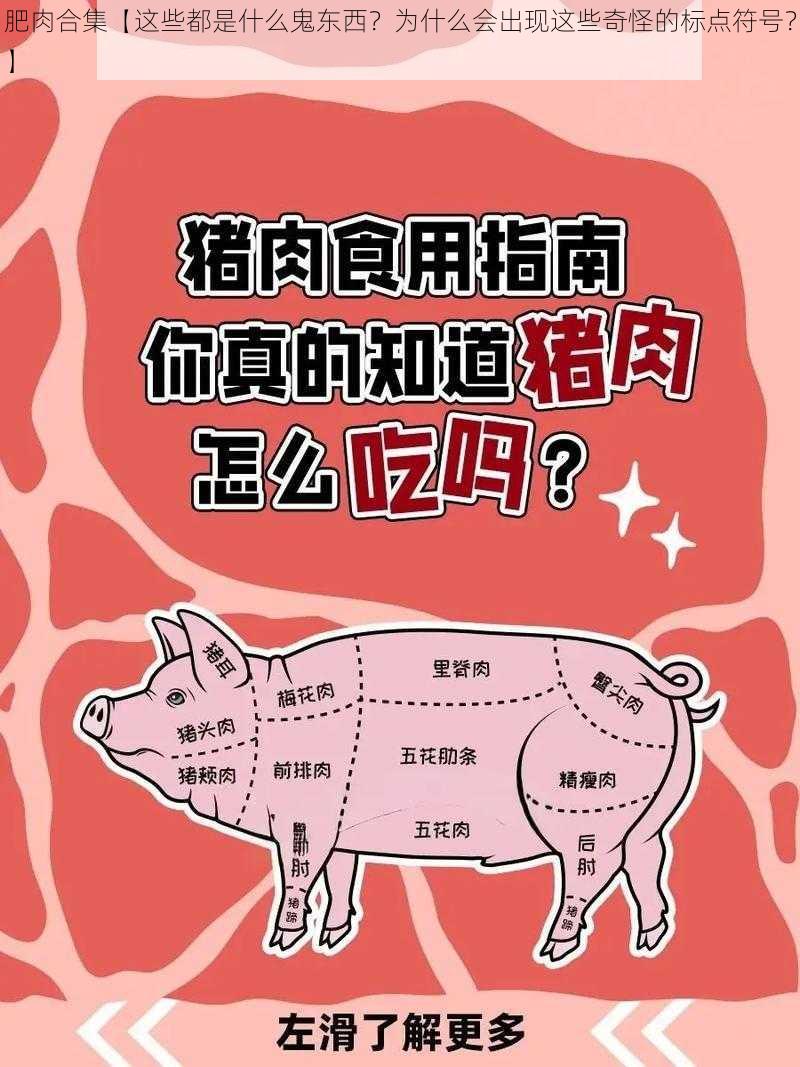 肥肉合集【这些都是什么鬼东西？为什么会出现这些奇怪的标点符号？】