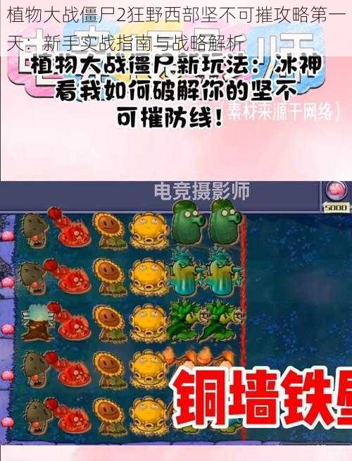 植物大战僵尸2狂野西部坚不可摧攻略第一天：新手实战指南与战略解析