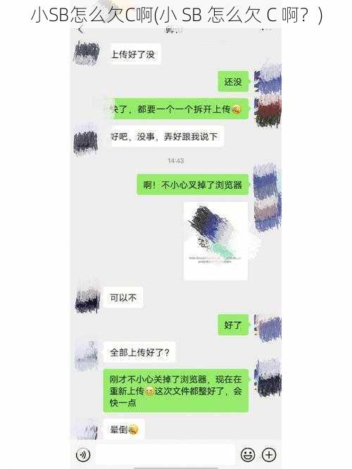 小SB怎么欠C啊(小 SB 怎么欠 C 啊？)