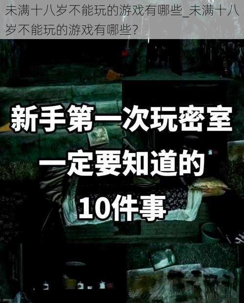 未满十八岁不能玩的游戏有哪些_未满十八岁不能玩的游戏有哪些？