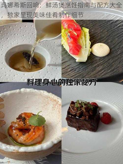 玛娜希斯回响：鲜汤煲烹饪指南与配方大全，独家呈现美味佳肴制作细节