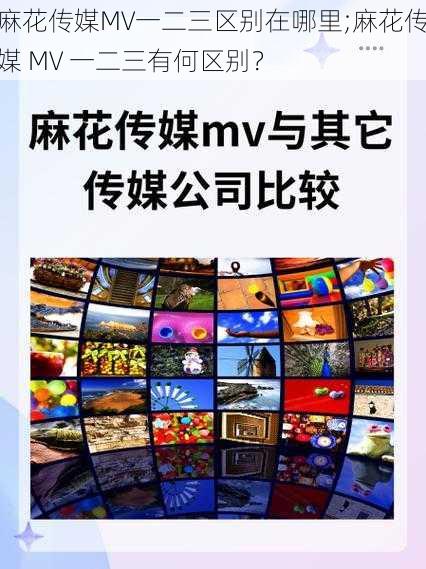 麻花传媒MV一二三区别在哪里;麻花传媒 MV 一二三有何区别？