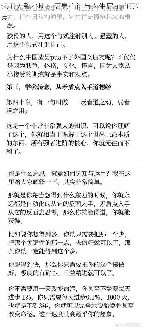 热血无赖小明：信息心得与人生启示的交汇点