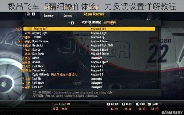 极品飞车15精细操作体验：力反馈设置详解教程