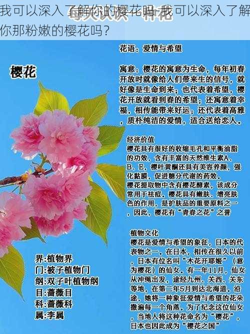 我可以深入了解你的樱花吗-我可以深入了解你那粉嫩的樱花吗？