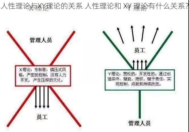 人性理论与XY理论的关系 人性理论和 XY 理论有什么关系？